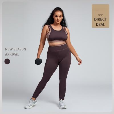 China Plus Size Sustainable Yoga Sets Gym Fitness Clothing Sports Bra Sportswear Top Womens Gaiters Activewear Sets For Women for sale