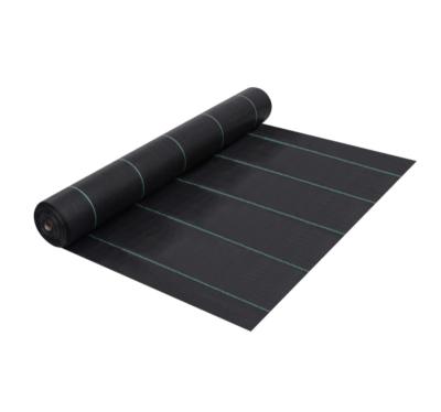 China Anti Weed Traditional Plastic Mat Plastic Mulch Cloth Agricultural Black Plastic Plant Cover for sale