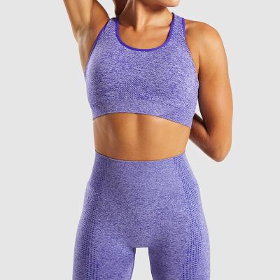 China Breathable Women Sports Seamless Gym Fitness Yoga Wear Sets Clothing Suit for sale