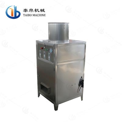 China food & Beverage Factory Stainless Steel SUS304 Garlic Peeling Machine Electric Garlic Peeler Machine For Restaurant for sale