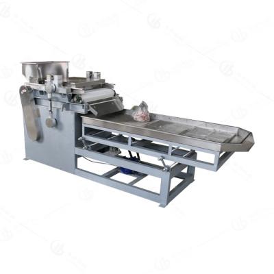 China NUTS cashew nut dicer machine/apricot nut dicer equipment /Peanut nut dicer for sale