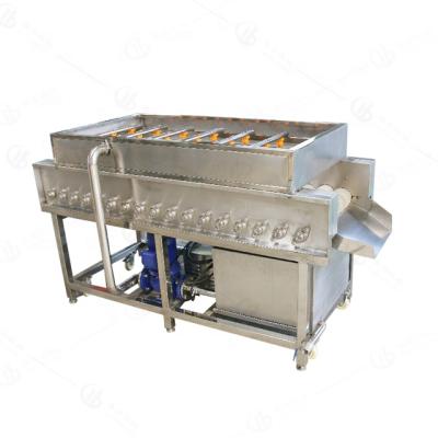 China Automatic Date Lemon Orange Dates Roller Spray Dry Cleaning Washing Machine for sale