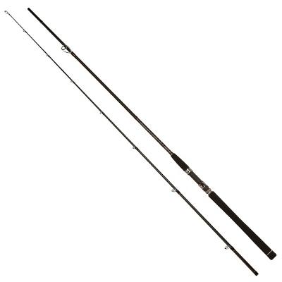 China High quality spining carbon fishing rod saltwater for fishing for sale