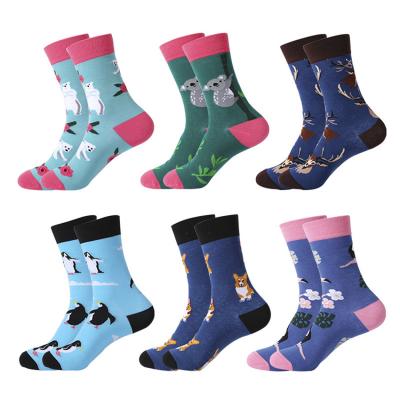 China Women QUICK DRY animal autumn socks crew tube design cute factory cotton sock packaging custom cartoon wholesale socks for sale