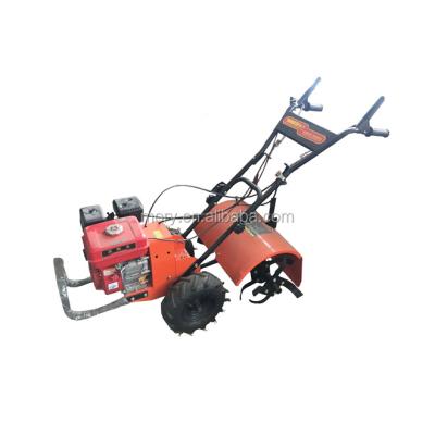 China Mini Agricultural Machinery Farm Tractors Agro Agriculture for sale