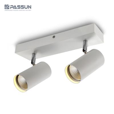 China Residential PASSUN Led Focus Spotlight 2x5w Outdoor Mounted LED Ceiling Spot Light for sale