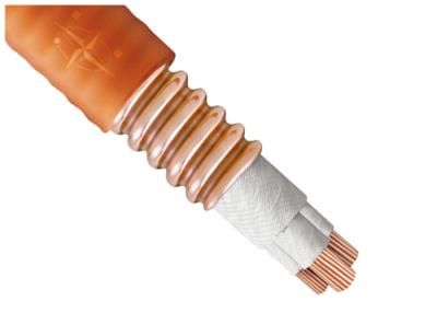 China Prenda impermeable da alta temperatura resistente a la corrosión del cable de 4x70 1x35 Sqmm Lszh en venta