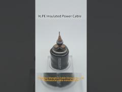 XLPE Insulated Black PVC Power Cable Copper / Aluminum Conductor