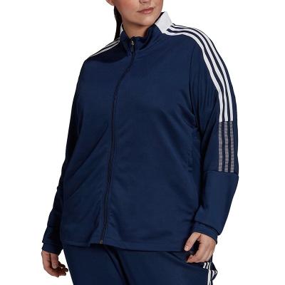 China Anti-Wrinkle OEM Custom Polyester Slim Fit Long Sleeves Classic Sports Gym Joggers High Quality Fitness Jacket for sale