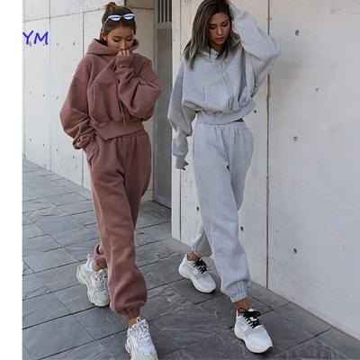 China Custom 2022 Women Winter Jogger Pullovers Gym Anti-pilling Warm Soft Velvet 2 Pieces Set Crop Top Oversized Hoodie Loose Sweatpants Sets for sale