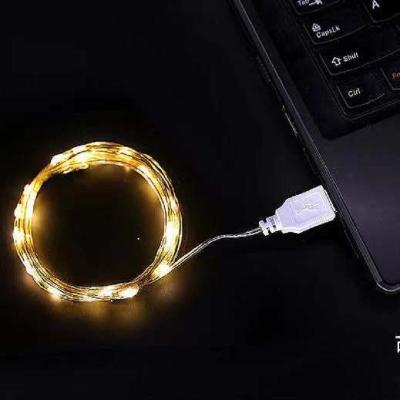 China USB Wire Lamp Usb Led Lights String Fairy Garland Remote Control 5m/10m/20m Copper Wire Lamp For Christmas New Year Garden Decoration - for sale