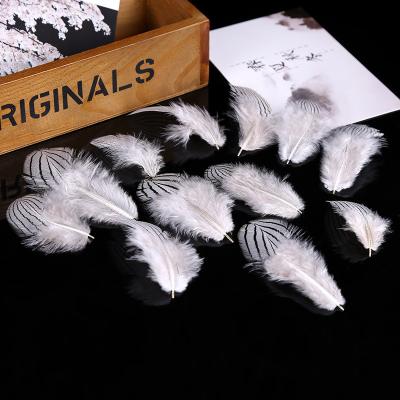 China Natural Clothing Pheasant Chicken Feather 4-8CM/50 Piece Jewelry Accessories Feather Cat Stick Accessories for sale