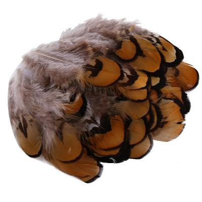 China Chicken feather handwork diy clothing Featival decoration headdress garment decoration pheasant feather 4-8cm/50 pieces for sale