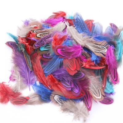 China Factory Direct Sales 4-8CM Large Color Warehouse Raw Materials Feather Featival Decoration Headdress Garment Decoration Handwork Accessories DIY Decoration Manual Feather for sale