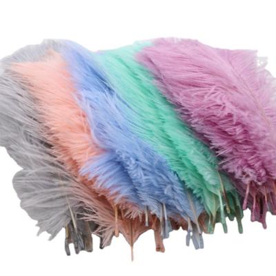 China Home Furnishings Factory Direct Sales 15-20cm Natural Ostrich Feathers DIY Wedding Flower Arrangement Feathers Stage Performance Props for sale