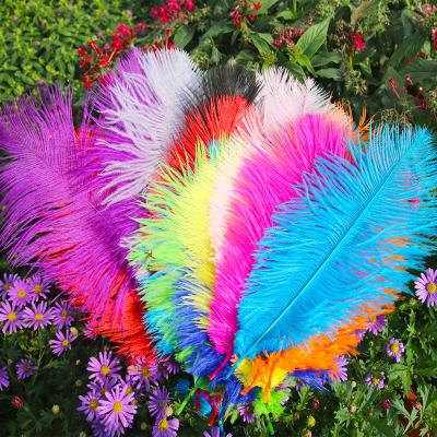 China Fashinable Wholesale 25CM-30CM Fluffy Craft Ostrich Feather Wedding Decoration Ostrich Feather Ornament Accessories Decoration for sale