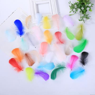 China Accessories Clothing Accessories Makers Head 6-12CM Natural Goose Feather 100 Pieces DIY Clothing Accessories Handwork Accessories for sale