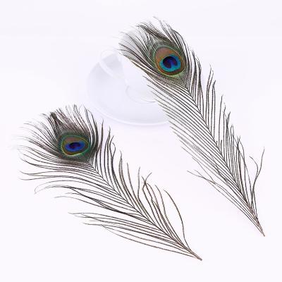 China Fashinable Ali Supplier Wholesale Cheap Natural Indian Peacock Feathers Long Volume For Floral Arrangements Wedding Party Home Decoration for sale