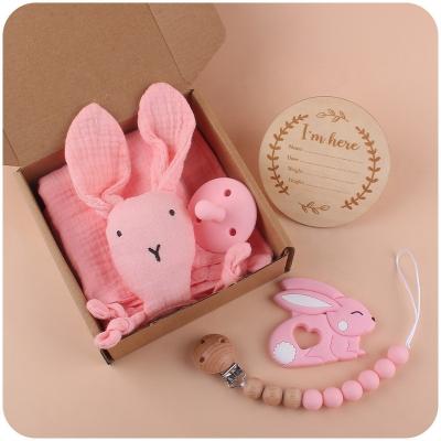 China 100% Hot Sales Food Grade Non-Toxic 6pcs Set Milestone Card Silicone Nipple Cartoon Rabbit Comforter Pacifier Chain Toys For Babies for sale