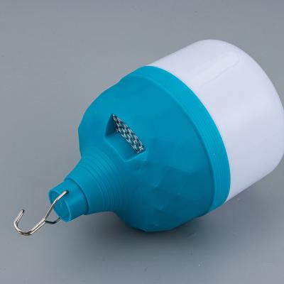 China Market Portable Light Outdoor Camping Night Camping Charging 30W Emergency Night Hanging Light for sale