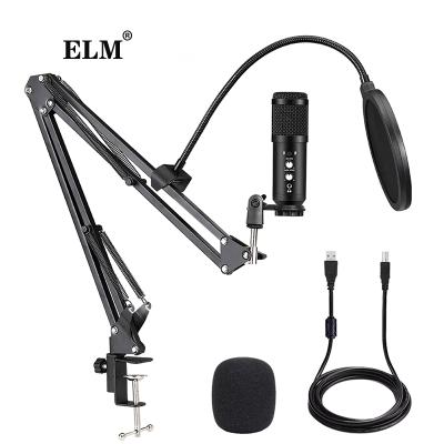 China 192Khz USB Condenser Microphone Stand Set Professional Studio Bm800 Microphone Recording Professional For PC Game YouTube Video for sale