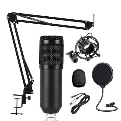 China Professional desktop professional cheap diaphragm directivity recording studiocondenser microphone bm800 heart-shaped set for sale