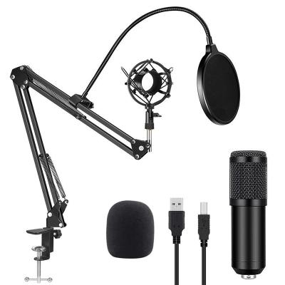 China Hot Selling Professional USB Microphone Isolation Heart Shaped Pointing Shield Recording USB Condenser BOM 800 Microphone Kit For Computer for sale