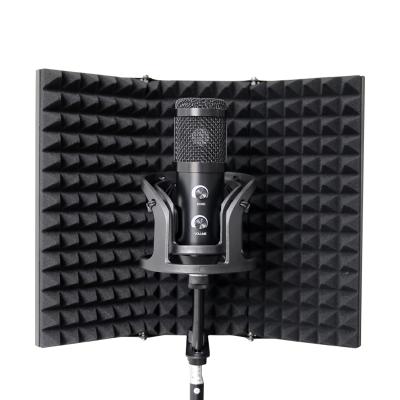 China Recording Studio Room Metal Three-Door Microphone Isolation Shield Recording for sale