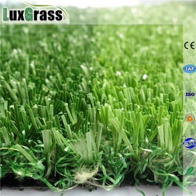 China Football Filed 15 Years Holland Thilon Guarantee No Added Football Artificial Grass for sale