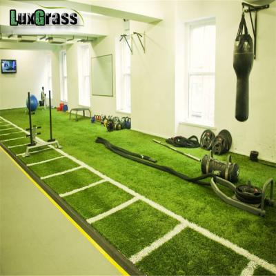 China Home Gym Artificial Grass Carpet Good Quality Decoration Artificial Turf Lawn for sale