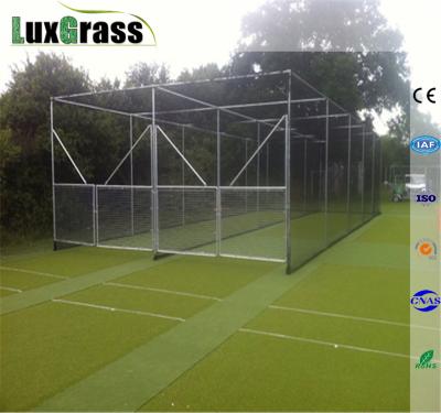 China Artificial Cricket 16mm Pe Cricket Grass Mat Pitch for sale