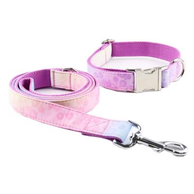 China Best Quality Padded Luxury Pet Collar Cat Carabiner Swivel Leash Dog Lead Collar Wholesale Tactical Military Strong Dog Accessories for sale