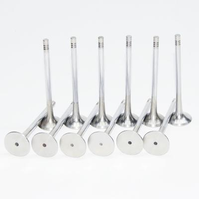 China Car Parts Quality Warranty Car Part Engine Exhaust Valve 06E109611G Reactor Valves For C7 2.5 for sale