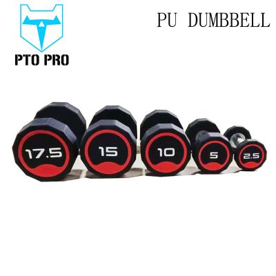 China Hot sale portable 10kgs dumbbell set stainless steel dumbbell with cheap price for sale