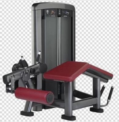 China Fitness Center Factory Product Leg Training Equipment Horizontal Training Machines for sale