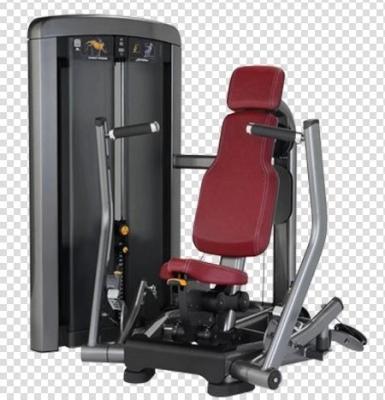 China Professional fitness center new style chest press trainer machines for gym for sale