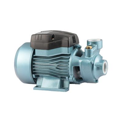 China Commercial Buildings Wholesale Commercial High Efficiency Bearing Centrifugal Pressurized Irrigation Pump for sale