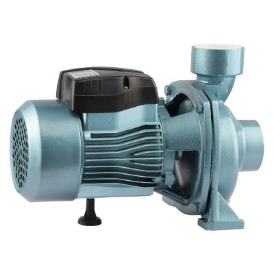 China Commercial Buildings Wholesale Modern Design High Efficiency Bearing Centrifugal Pressurized Irrigation Pump for sale