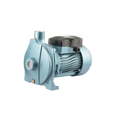 China Buildings Commercial Hot Sale High Flow Centrifugal Pump Commercial Irrigation Pump For Garden Irrigation Pump for sale