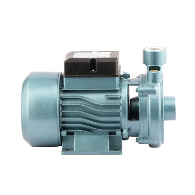 China Commercial Buildings High Efficiency High Flow Centrifugal Pump Portable Irrigation Pump For Garden Irrigation Pump for sale