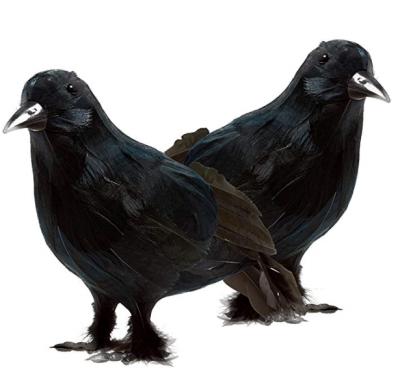 China Crow Black Bird Standing Feather Halloween Decorative Figurine, Black Customized for sale