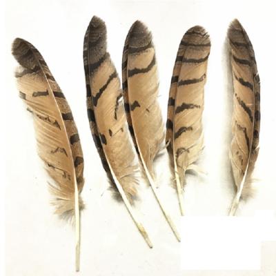 China Natural Owl Feathers 20-24cm DIY Craft Fashion Items Stain Fan Vase for sale