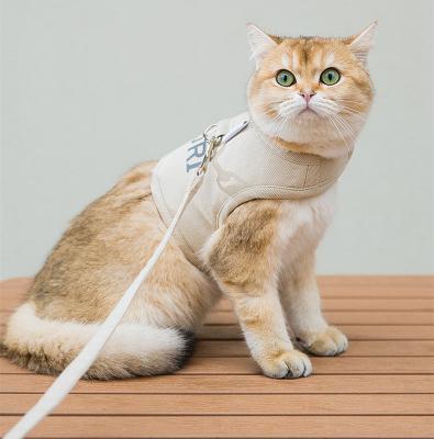 China Small Pet Leash And Harness Set Candy Color Canvas Stocked Vest With Rope Chain 2pcs Puppy Cat Leash Pet Outdoor Training Supplies for sale