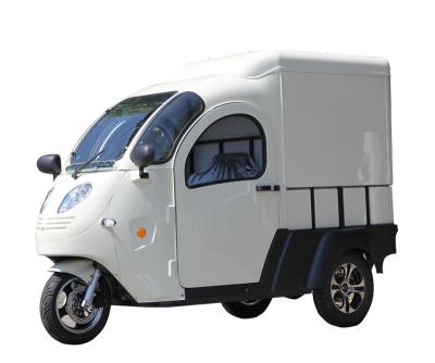 China Electric Cargo Truck with EEC Enclosed Plastic Body for Adult 2500W Electric Cargo Motorcycle Truck for sale