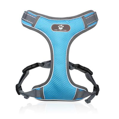 China Dogs Ready To Board Adjustable Pet Harness With Colorful Vest Pet Chest Straps Dog Harness Pet Chest Strap Adjustable for sale