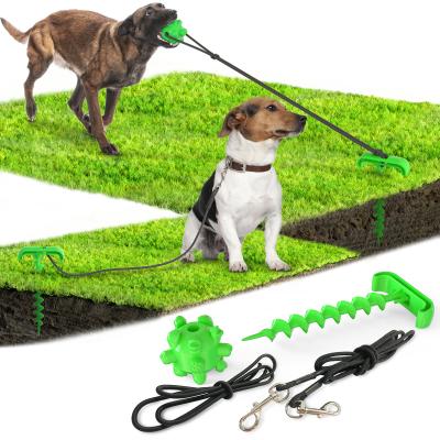 China Viable Hot Sell Pegs Outdoor Dog Leashes Fixed Pile Tethering Ground Peg Anchor Stakes Dog Chew Down Leash Set Attached Toy for sale