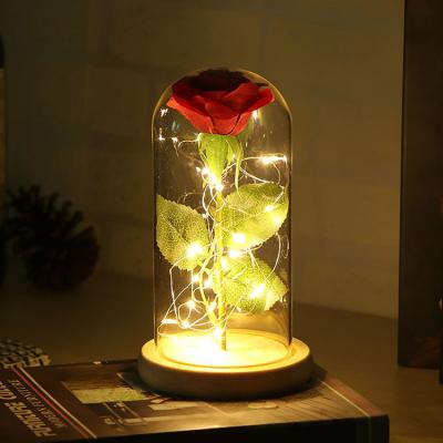 China New Design Copper Wire + Glass+ Wooden Beauty and the Beast Rose Wholesale Preserved Eternal Roses with LED Lights in Glass Dome for sale