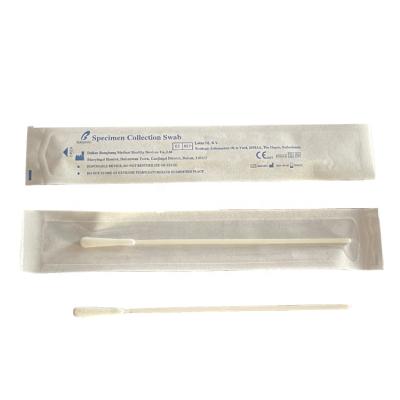 China Oral Flocked Specimen Collection Swabs Disposable Sampling Swab With Flocking Tip for sale