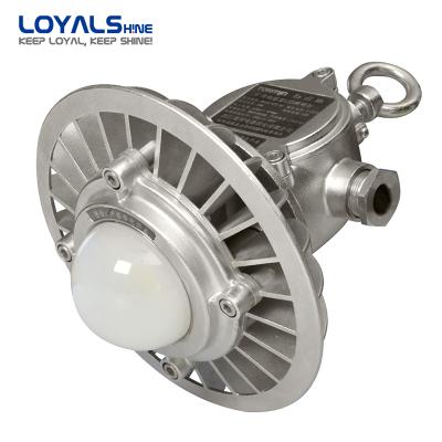 China Supplier Wholesale Mining Energy-saving 30W Led Explosion Proof Lamp For Tunnel Mining Light for sale