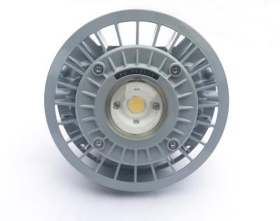 China Excellent High Power Explosion Proof Hot Sales Porcelain Explosion Proof Light for sale